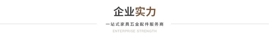 企业实力